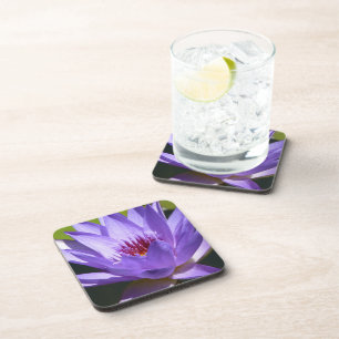 Dessous-de-verre Lys d'eau violet