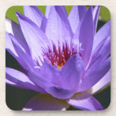 Dessous-de-verre Lys d'eau violet (Devant)