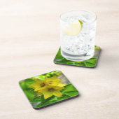 Dessous-de-verre Lysimachia punctata (Côté Droit)