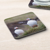 Dessous-de-verre Macareux fier (Côté gauche)