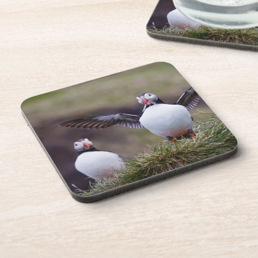 Dessous-de-verre Macareux fier (Côté gauche)