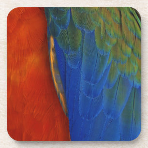 Dessous-de-verre Macaw Feathers