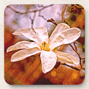 Dessous-de-verre Magnolia