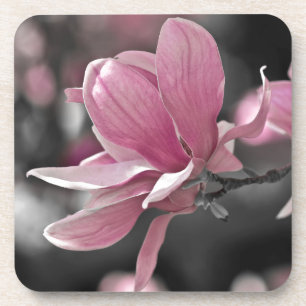 Dessous-de-verre Magnolia japonaise à saucer rose