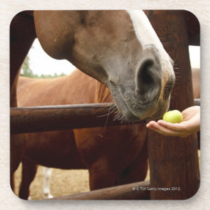 Dessous-de-verre Main alimentant à un cheval une pomme