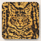 Dessous-de-verre Maine Coon kitten chat empreinte de léopard tiger (Devant)