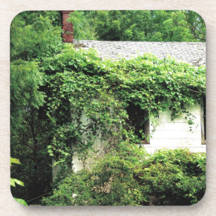 Dessous-de-verre Maison Blanche abandonnée dans les bois