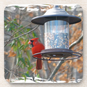 Dessous-de-verre Male Cardinal