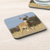 Dessous-de-verre Mâle de Whitetail d'automne (Côté gauche)