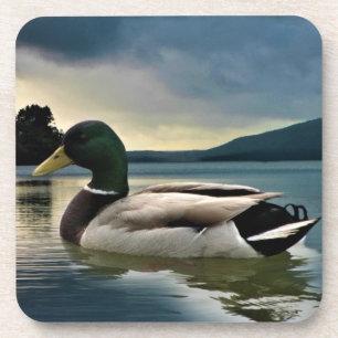 Dessous-de-verre Mallard Duck On The Lake