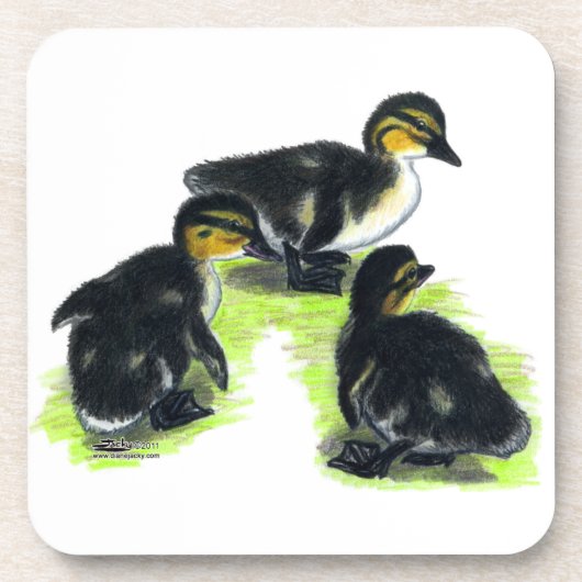 Dessous-de-verre Mallard Ducklings (Devant)