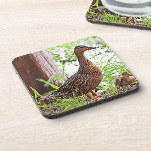 Dessous-de-verre Mallard et Ducklings par Shirley Taylor