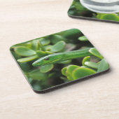 Dessous-de-verre Mamba verte orientale (Dendroaspis Angusticeps) (Côté gauche)