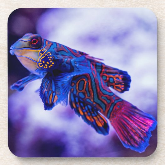 Dessous-de-verre Mandarin Goby Poisson Beverage Coaster (Devant)