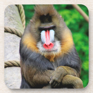 Dessous-de-verre Mandrill 001