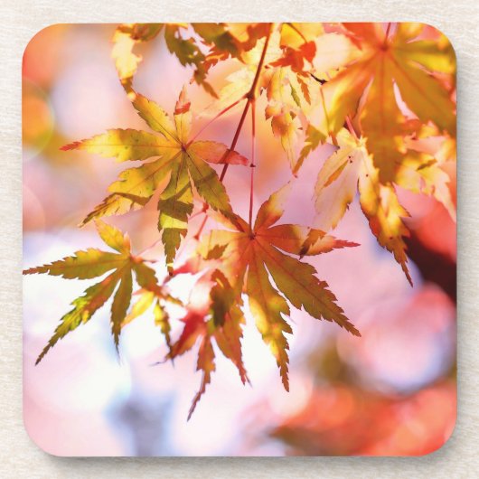 Dessous-de-verre Maple Feuille Landscape Design-21355 (Devant)