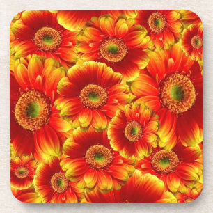 Dessous-de-verre Marguerites de Gerbera jaune et orange