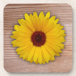Dessous-de-verre Marigold de tournesol sur des planches en bois rus