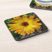 Dessous-de-verre marigold sur le journal (Côté gauche)