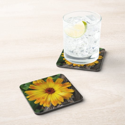 Dessous-de-verre marigold sur le journal (Côté Droit)
