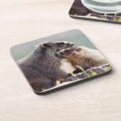 Dessous-de-verre Marmotte mère avec bébé (Côté gauche)