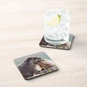 Dessous-de-verre Marmotte mère avec bébé (Côté Droit)