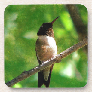 Dessous-de-verre Matin des colibris