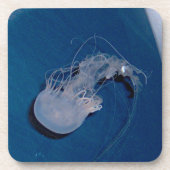 Dessous-de-verre Méduse (Devant)