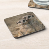 Dessous-de-verre Meerkat 067 (Côté gauche)