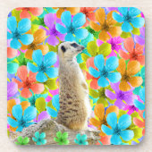 Dessous-de-verre Meerkat Et Fleurs Multicolores, (Devant)