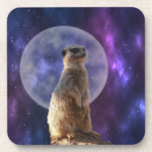 Dessous-de-verre Meerkat Et Pleine lune, (Devant)