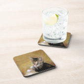 Dessous-de-verre Meet Tiger (Côté Droit)