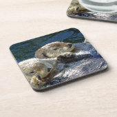 Dessous-de-verre Mer-loutres (Côté gauche)