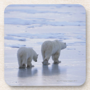 Dessous-de-verre Mère et CUB d'ours blanc