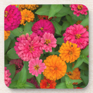 Dessous-de-verre Michigan, Dearborn, Greenfield Village.De près