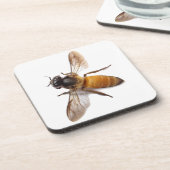 Dessous-de-verre Miel Bee (Côté gauche)