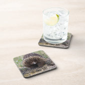 Dessous-de-verre Mignonne Echidna d'Australie (Côté Droit)