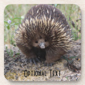Dessous-de-verre Mignonne Echidna d'Australie (Devant)