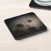 Dessous de verre mignons de délivrance de chiot de (Côté gauche)