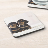 Dessous-de-verre Mini séance du teckel deux (Côté gauche)