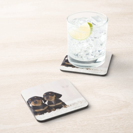 Dessous-de-verre Mini séance du teckel deux (Côté Droit)