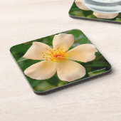 Dessous-de-verre Mme Oakley Fisher Rose (Côté gauche)