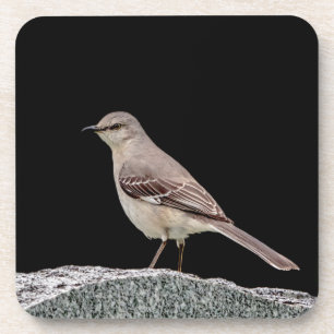 Dessous-de-verre Mockingbird sur une pierre tombale
