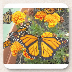 Dessous-de-verre Mon Monarch Papillons-dessous de verre-liège
