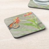 Dessous-de-verre Monarch Butterfly et Caterpillar (Côté gauche)