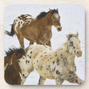 Dessous-de-verre Montagnes Big Horn, Chevaux courant dans la neige