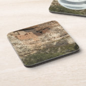 Dessous-de-verre Montezuma Castle National Monument, Arizona (Côté gauche)