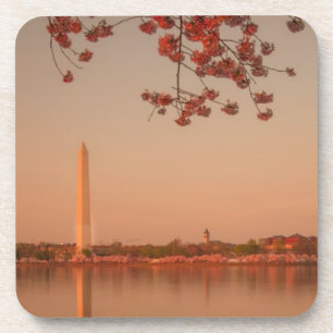 Dessous-de-verre Monument de Washington Sakura au coucher du soleil