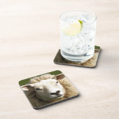 DESSOUS-DE-VERRE MOQUETTE (Côté Droit)