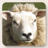 DESSOUS-DE-VERRE MOQUETTE (Devant)